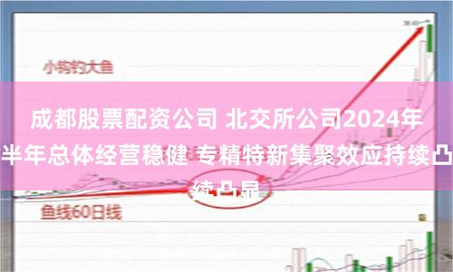 成都股票配资公司 北交所公司2024年上半年总体经营稳健 专精特新集聚效应持续凸显