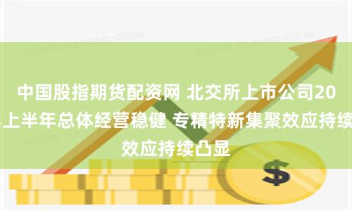 中国股指期货配资网 北交所上市公司2024年上半年总体经营稳健 专精特新集聚效应持续凸显