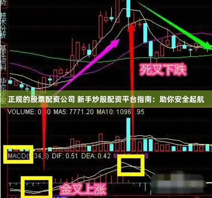 正规的股票配资公司 新手炒股配资平台指南：助你安全起航
