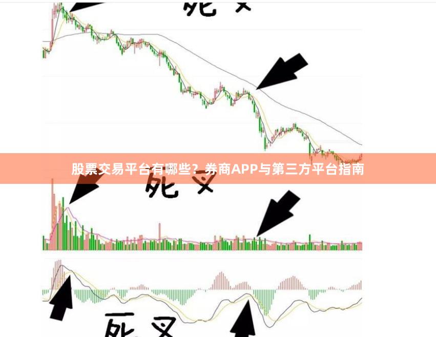 股票交易平台有哪些？券商APP与第三方平台指南